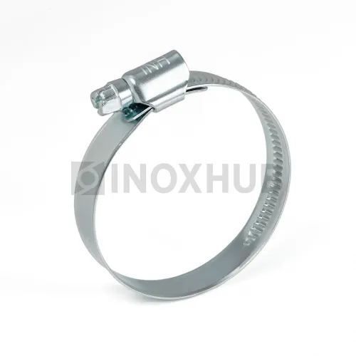 Хомут червячный INOXHUB 180-200/12 W1
